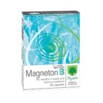 Magneton B, 30, Магнетон Б